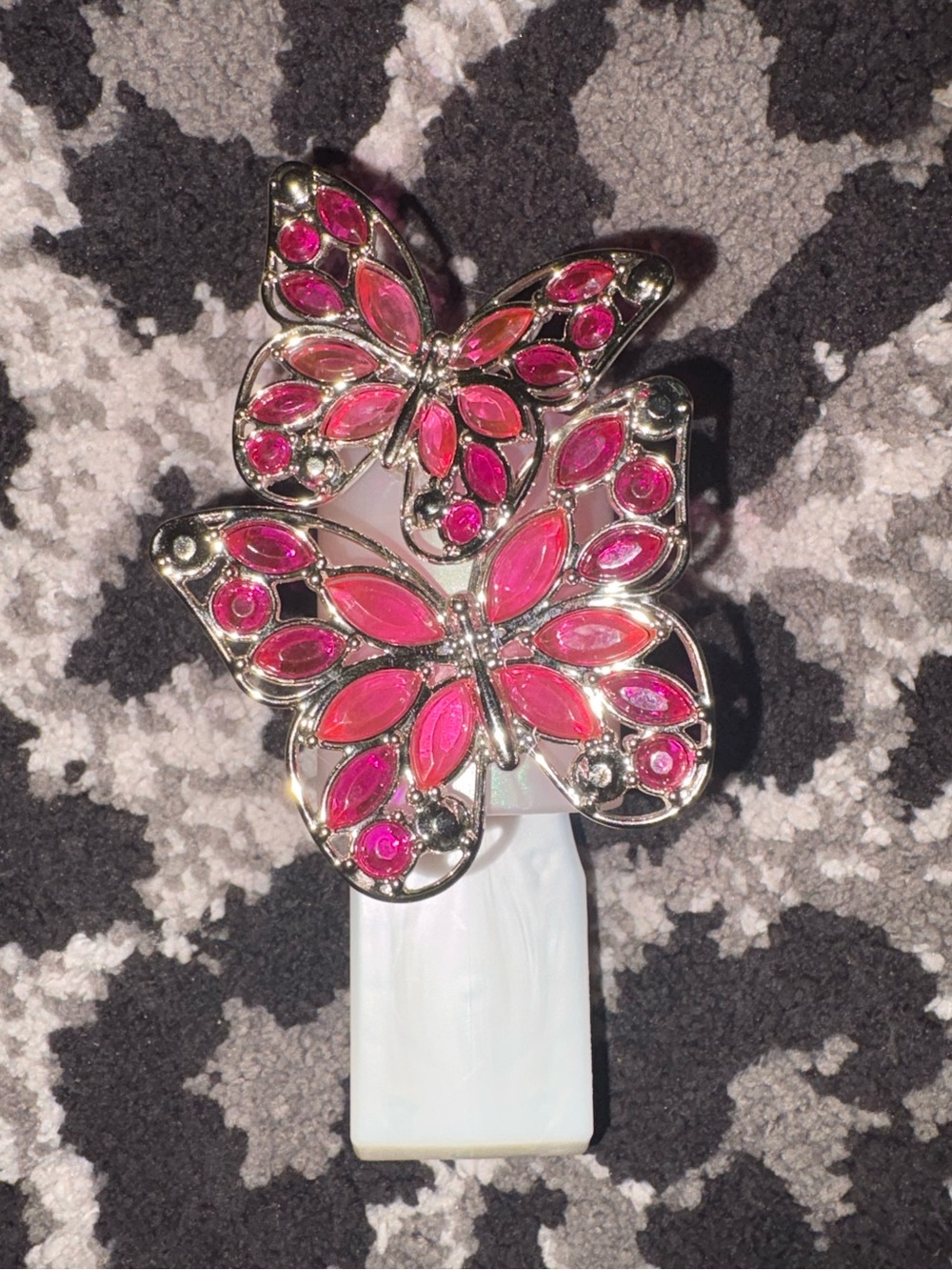 Butterfly Wallflower.